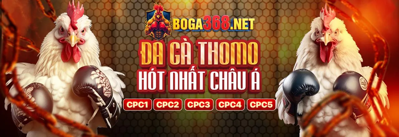 Cá cược thể thao tại 3in1bet chính thức